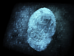 A digital fingerprint mark