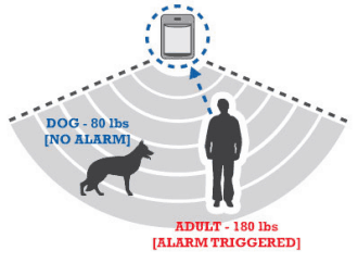 A schematic displaying how sensors differentiatie dogs from humans